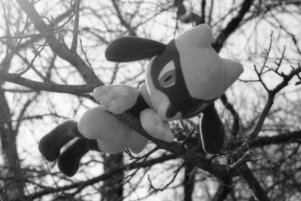 Riolu on a branch Canon EOS Elan II w/ 50mm f/1.8 STM