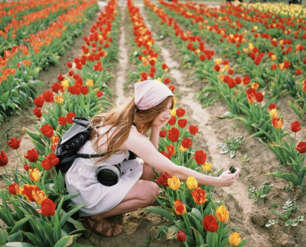 Shot on Pentax 6x7, 105/2.4.