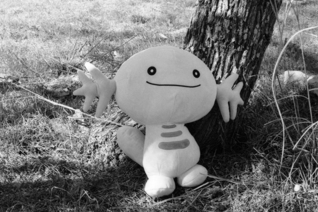 Wooper hanging out Canon EOS Elan II w/ 50mm f/1.8 STM